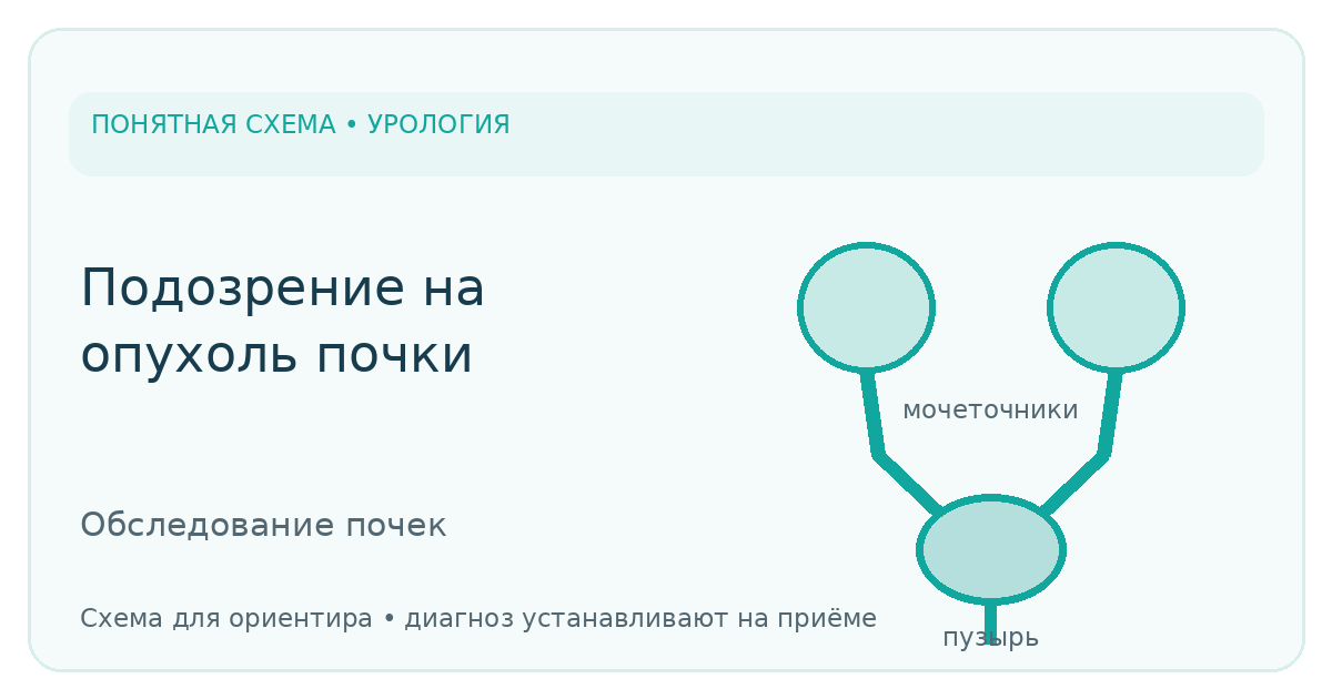 Поясняющая схема: Подозрение на опухоль почки
